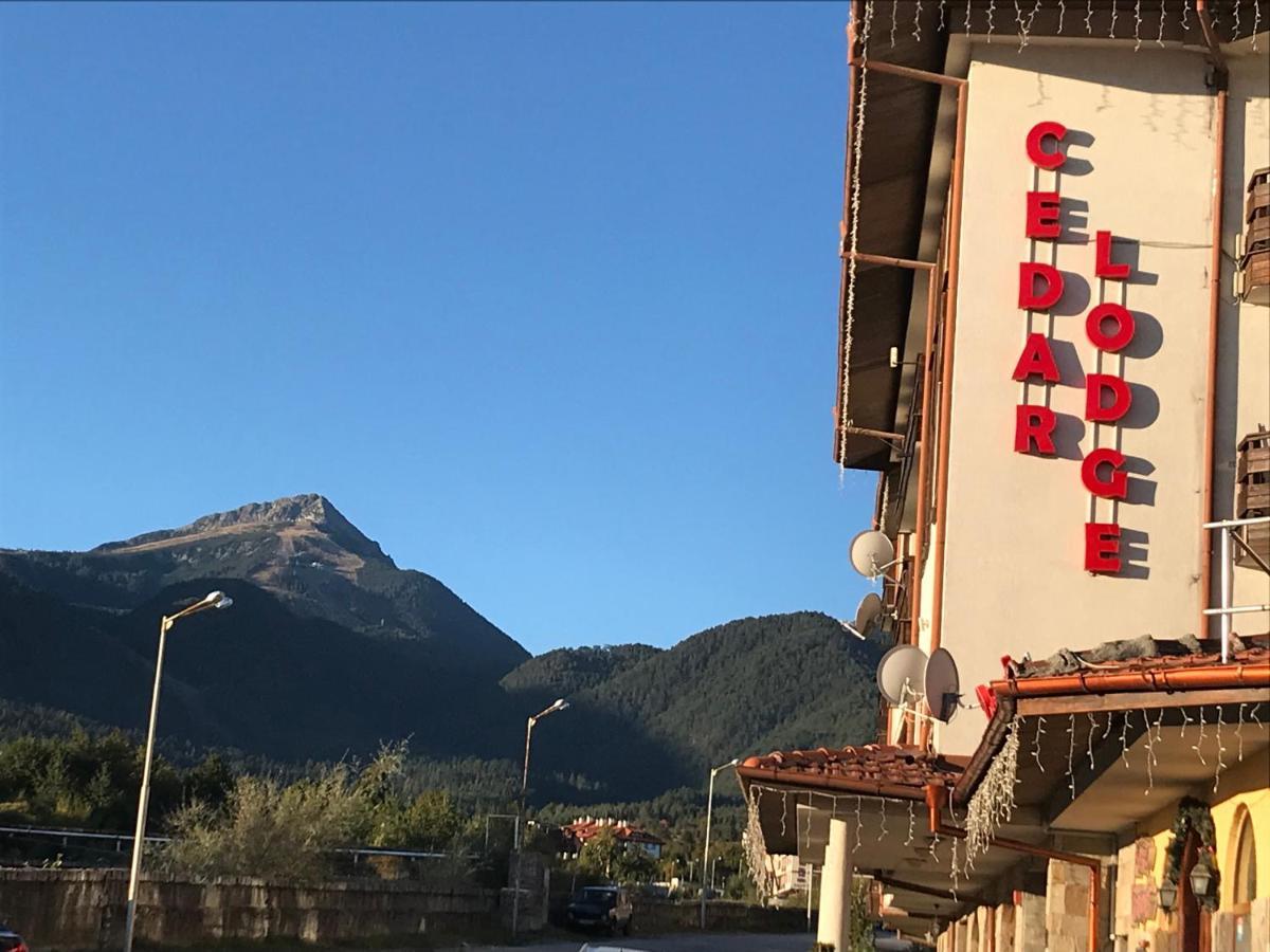 Ski Zone At Gondola, Perfect One Bdrm, Fast Wifi, Netflix, Quiet, Warm Bansko Exteriör bild