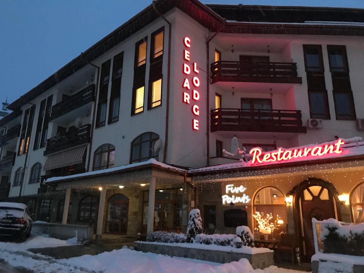 Ski Zone At Gondola, Perfect One Bdrm, Fast Wifi, Netflix, Quiet, Warm Bansko Exteriör bild