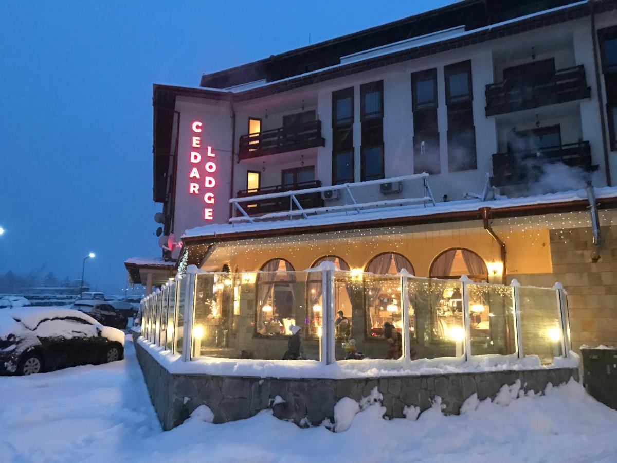 Ski Zone At Gondola, Perfect One Bdrm, Fast Wifi, Netflix, Quiet, Warm Bansko Exteriör bild